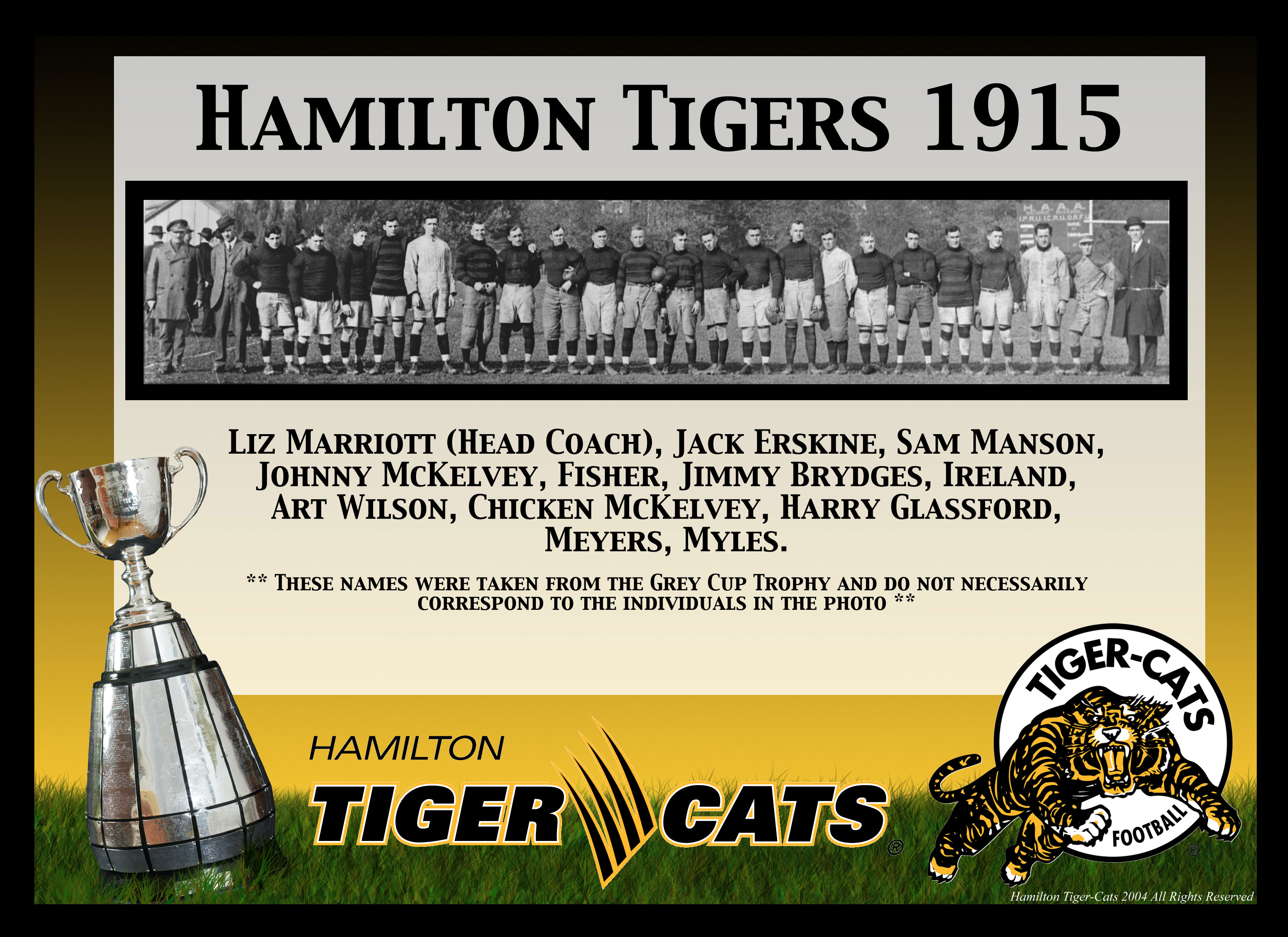 1915 Hamilton Tigers